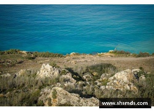 卡利亚里拉素：探寻地中海风味的精髓