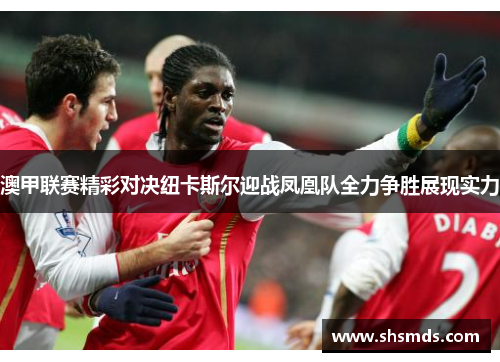 澳甲联赛精彩对决纽卡斯尔迎战凤凰队全力争胜展现实力