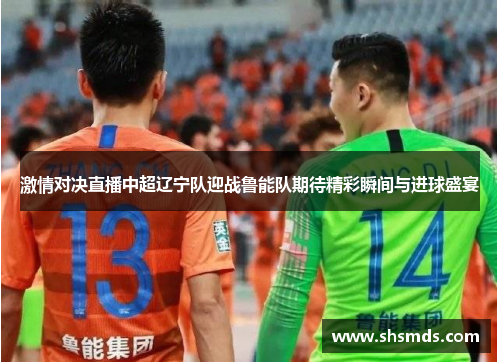 激情对决直播中超辽宁队迎战鲁能队期待精彩瞬间与进球盛宴