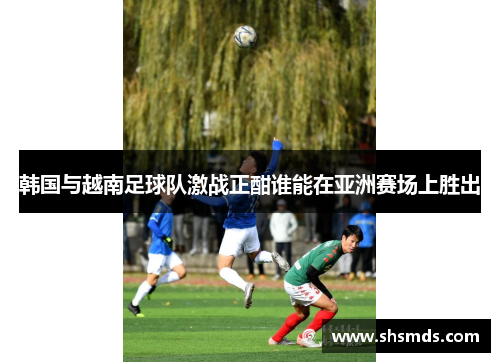 韩国与越南足球队激战正酣谁能在亚洲赛场上胜出