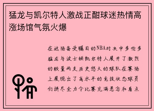 猛龙与凯尔特人激战正酣球迷热情高涨场馆气氛火爆